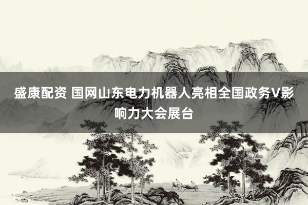 盛康配资 国网山东电力机器人亮相全国政务V影响力大会展台