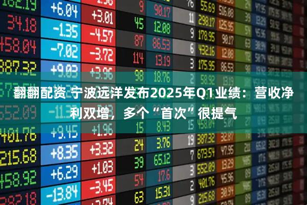 翻翻配资 宁波远洋发布2025年Q1业绩：营收净利双增，多个“首次”很提气