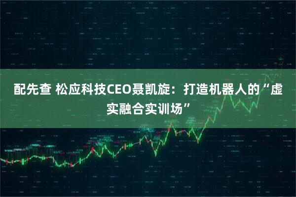 配先查 松应科技CEO聂凯旋：打造机器人的“虚实融合实训场”