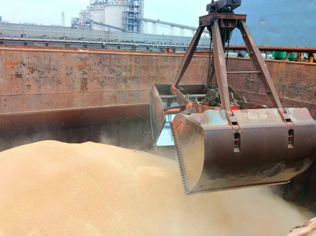 卸船有速，冷链有温，仓储有备。中远海运物流以全链守护紧紧锁住粮食安全，让丰收的底气更足。（来源：中远海运物流供应链）