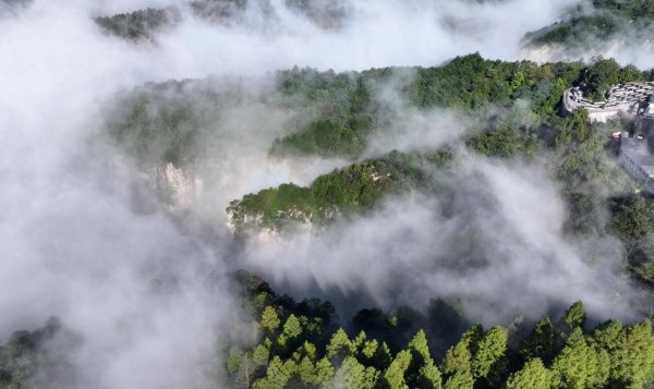 顺策略 张家界国家森林公园：云海佛光齐现天子山